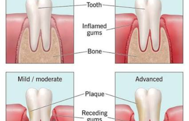 Blog - Smile Society